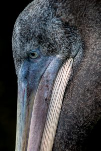 Vogelpark Walsrode